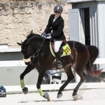 Hinson Hall Jumper Show Horses Bermuda March 18 2012-1-12