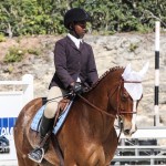 Hinson Hall Jumper Show Horses Bermuda March 18 2012-1-14