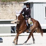Hinson Hall Jumper Show Horses Bermuda March 18 2012-1-15