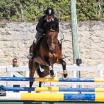 Hinson Hall Jumper Show Horses Bermuda March 18 2012-1-4