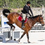 Hinson Hall Jumper Show Horses Bermuda March 18 2012-1-6