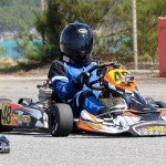 Karting Bermuda March 4 2012-1-8