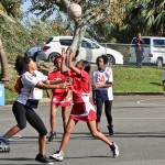 Netball Bermuda March 3 2012-1-16