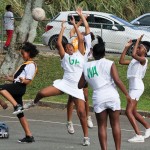 Netball Bermuda March 3 2012-1-21