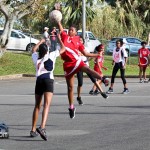 Netball Bermuda March 3 2012-1-3