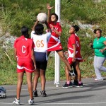 Netball Bermuda March 3 2012-1-6