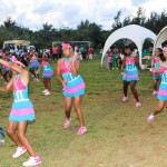PLP School's Out Family Fun Day, Bermuda June 30 2012-1-54