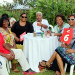 Premier's Cup Match Reception At Camden Bermuda, July 30 2012 (14)