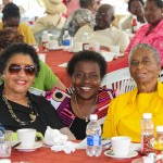 Premier's Seniors Tea, Bermuda July 1 2012-1-12