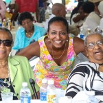 Premier's Seniors Tea, Bermuda July 1 2012-1-13