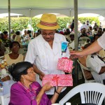 Premier's Seniors Tea, Bermuda July 1 2012-1-3