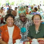 Premier's Seniors Tea, Bermuda July 1 2012-1-4
