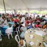 Premier's Seniors Tea, Bermuda July 1 2012-1-6