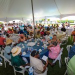 Premier's Seniors Tea, Bermuda July 1 2012-1-8