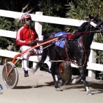 Driving Horse & Pony Club Harness Pony Racing Bermuda, September 29 2012 (12)