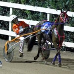 Driving Horse & Pony Club Harness Pony Racing Bermuda, September 29 2012 (14)
