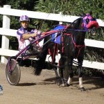 Driving Horse & Pony Club Harness Pony Racing Bermuda, September 29 2012 (15)