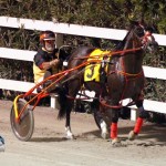 Driving Horse & Pony Club Harness Pony Racing Bermuda, September 29 2012 (16)