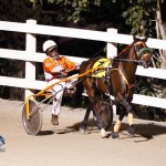 Driving Horse & Pony Club Harness Pony Racing Bermuda, September 29 2012 (2)