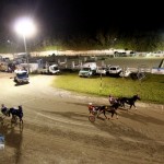Driving Horse & Pony Club Harness Pony Racing Bermuda, September 29 2012 (20)