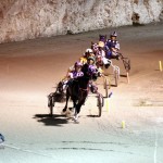 Driving Horse & Pony Club Harness Pony Racing Bermuda, September 29 2012 (22)