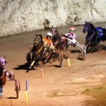 Driving Horse & Pony Club Harness Pony Racing Bermuda, September 29 2012 (25)