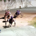 Driving Horse & Pony Club Harness Pony Racing Bermuda, September 29 2012 (27)