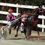 Driving Horse & Pony Club Harness Pony Racing Bermuda, September 29 2012 (30)