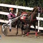 Driving Horse & Pony Club Harness Pony Racing Bermuda, September 29 2012 (4)