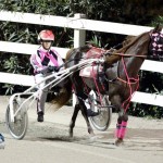 Driving Horse & Pony Club Harness Pony Racing Bermuda, September 29 2012 (5)