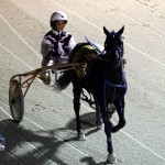 Driving Horse & Pony Club Harness Pony Racing Bermuda, September 29 2012 (7)