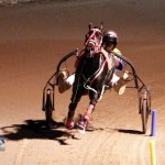 Driving Horse & Pony Club Harness Pony Racing Bermuda, September 29 2012 (8)
