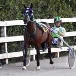 Harness Pony Racing Bermuda, September 21 2012 (1)
