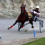 Harness Pony Racing Bermuda, September 21 2012 (4)