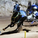 Harness Pony Racing Bermuda, September 21 2012 (7)
