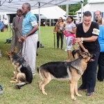 Bermuda Kennel Club Dog Show, October 20 2012-1-30