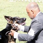 Bermuda Kennel Club Dog Show, October 20 2012 (51)