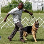 Bermuda Kennel Club Dog Show, October 20 2012 (53)