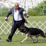 Bermuda Kennel Club Dog Show, October 20 2012 (59)
