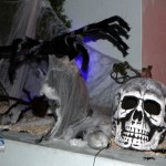 Halloween Dudley Hill Paget Bermuda, Oct 31 2012 (11)