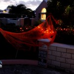 Melville Estates Halloween Bermuda, Oct 31 2012 (25)