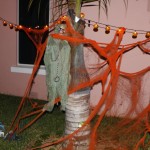 Melville Estates Halloween Bermuda, Oct 31 2012 (32)