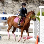 Inwood Hunter Jumper Show Horses Bermuda Equestrian, November 25 2012 (11)