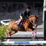 Inwood Hunter Jumper Show Horses Bermuda Equestrian, November 25 2012 (12)