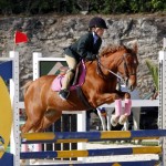 Inwood Hunter Jumper Show Horses Bermuda Equestrian, November 25 2012 (14)