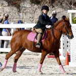 Inwood Hunter Jumper Show Horses Bermuda Equestrian, November 25 2012 (15)