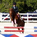 Inwood Hunter Jumper Show Horses Bermuda Equestrian, November 25 2012 (16)