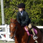 Inwood Hunter Jumper Show Horses Bermuda Equestrian, November 25 2012 (17)