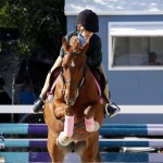 Inwood Hunter Jumper Show Horses Bermuda Equestrian, November 25 2012 (19)