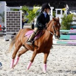 Inwood Hunter Jumper Show Horses Bermuda Equestrian, November 25 2012 (20)
